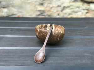 A wooden spoon leaning on a coconut bowl.